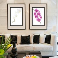 home decoration, framed prints, home decor, fine art, photos