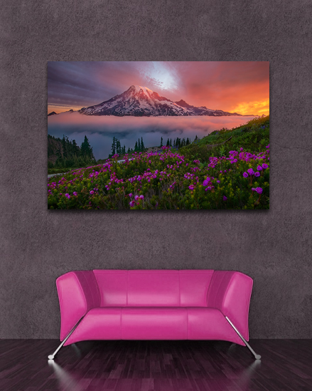 pricing and promotions, canvas, framed prints