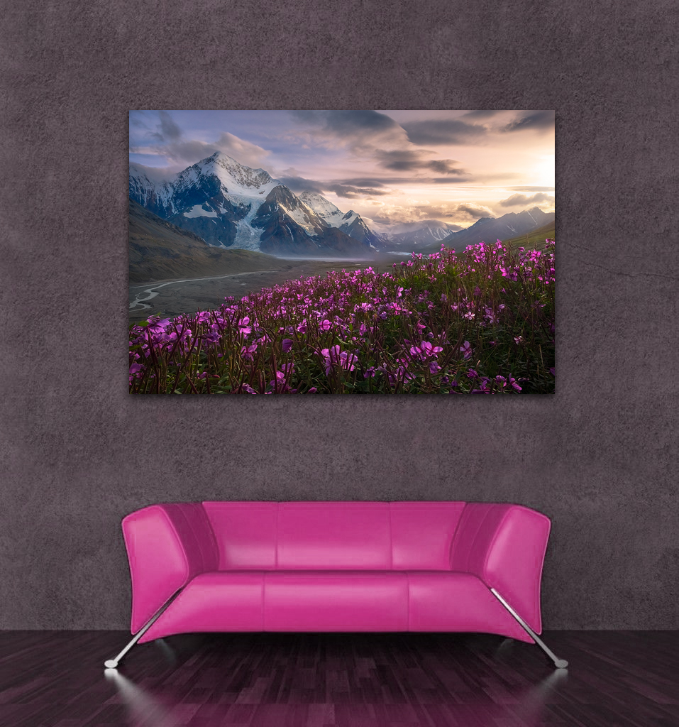 Framed Print Framed Print