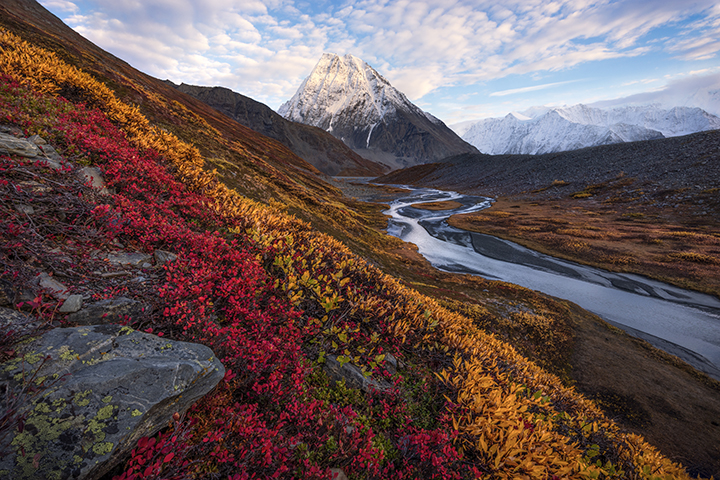 alaska, fall, denali, autumn, mountains