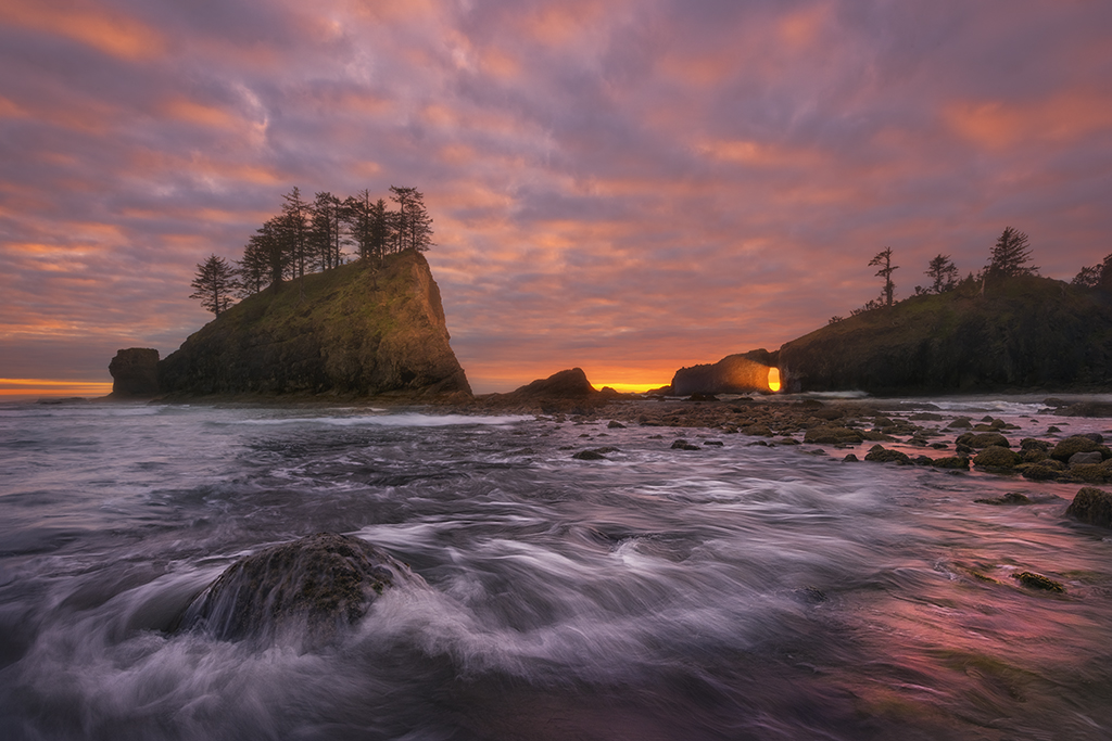 new work, northwest, olympic coast, columbia gorge, waterfalls, forest, ocean, new release
