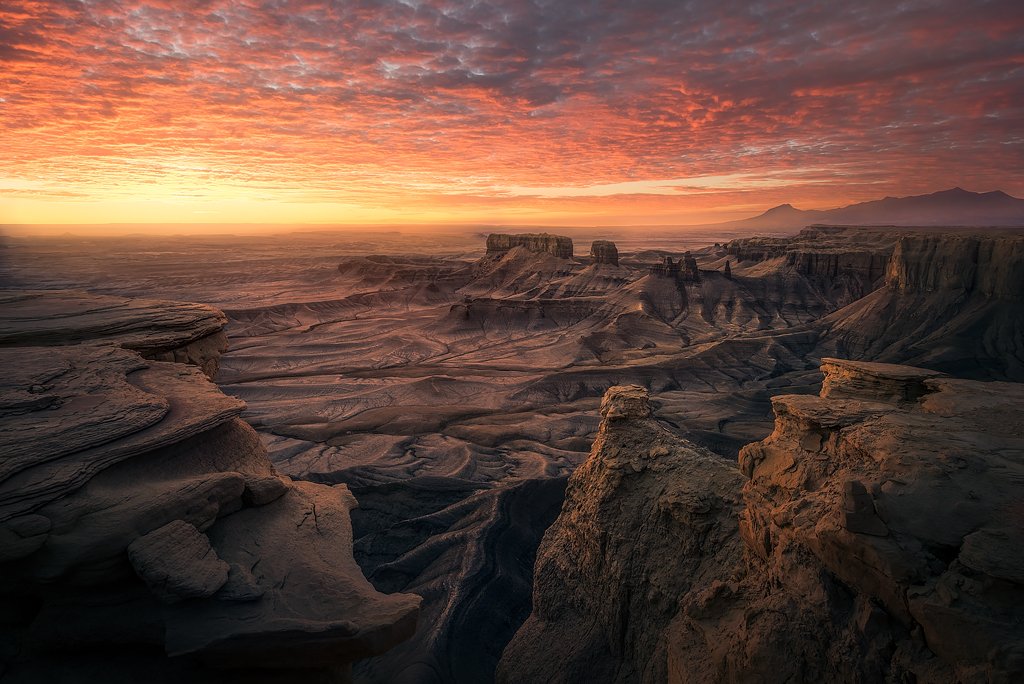 New Release- Southwest